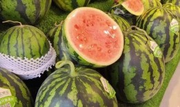 每日吃瓜,轻松掌握娱乐圈新鲜事